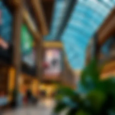 Magnificent Exploring Affordable Shopping in Dubai: A Comprehensive Guide Magnificent Exploring Affordable Shopping in Dubai: A Comprehensive Guide