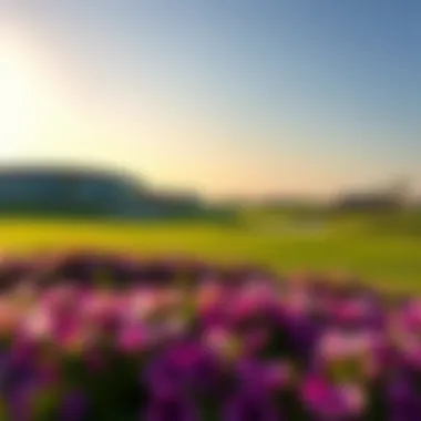 Magnificent Golf Greens: An Architectural Marvel in Damac Properties