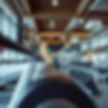 Magnificent Identifying the Premier Gym in International City: A Comprehensive Exploration Magnificent Identifying the Premier Gym in International City: A Comprehensive Exploration
