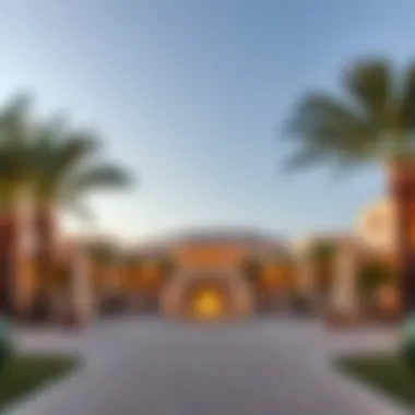 Magnificent In-Depth Exploration of the Melia Desert Palm: A Real Estate Perspective