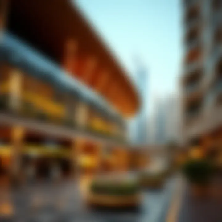 Magnificent Navigating the Expat Experience in Dubai