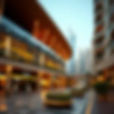 Magnificent Navigating the Expat Experience in Dubai Magnificent Navigating the Expat Experience in Dubai