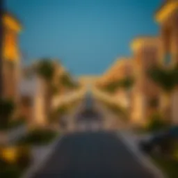 A Comprehensive Exploration of Kawaneej: Insights into a Flourishing Community Introduction