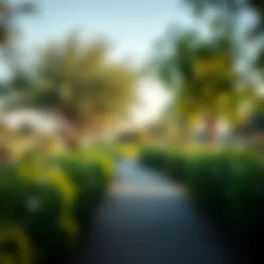 A tranquil pathway adorned with lush greenery in Al Warqa 3 Park