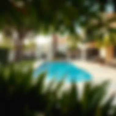 Scenic outdoor space with lush greenery and pool