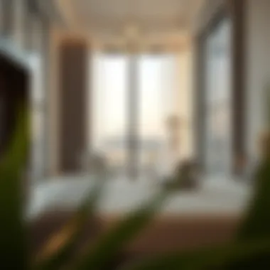Exploring Bedspace Options in Oud Metha Summary