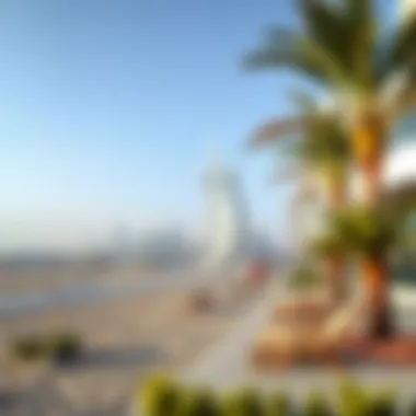Exploring Dubai's Free Beaches Summary