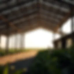 Exploring Farm Ownership Opportunities in Shouka Introduction