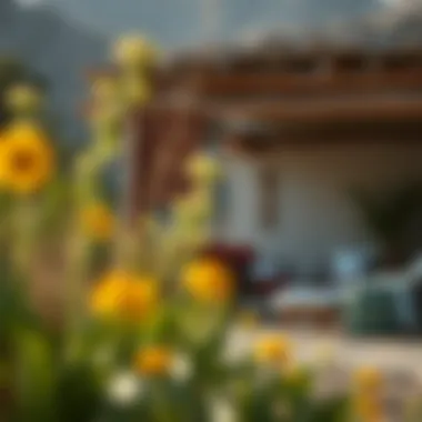 Exploring Farm Ownership Opportunities in Shouka Summary