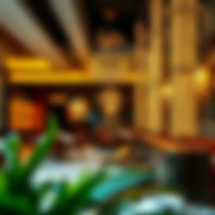 Exploring Indian Restaurants in Jumeirah Village Circle Summary