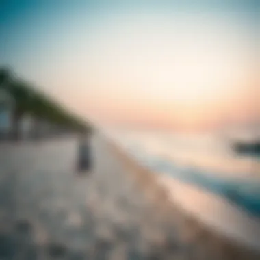 Notable Exploring Kite Beach in Jumeirah: A Comprehensive Guide Notable Exploring Kite Beach in Jumeirah: A Comprehensive Guide