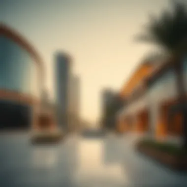 Exploring Liwan in Silicon Oasis: An In-Depth Analysis Introduction Exploring Liwan in Silicon Oasis: An In-Depth Analysis Introduction