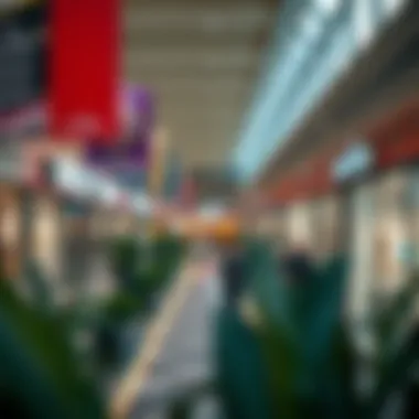 Exploring Outlet Village Mall: A Comprehensive Guide Introduction