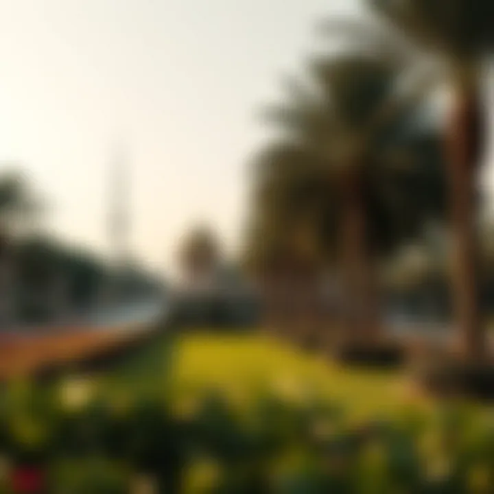Notable Exploring Park Zabeel: A Perspective on Dubai's Iconic Green Space