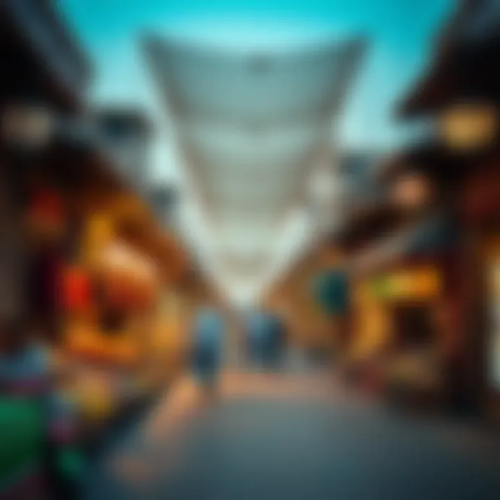 Exploring Souq Naif: A Visual Journey Through Dubai's Cultural Market Summary