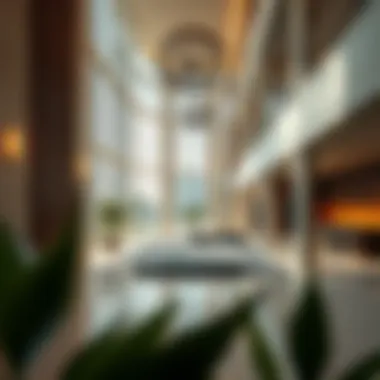 Exploring the Zarooni Building in DSO: A Comprehensive Overview Summary Exploring the Zarooni Building in DSO: A Comprehensive Overview Summary