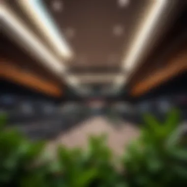 Identifying the Premier Gym in International City: A Comprehensive Exploration Summary