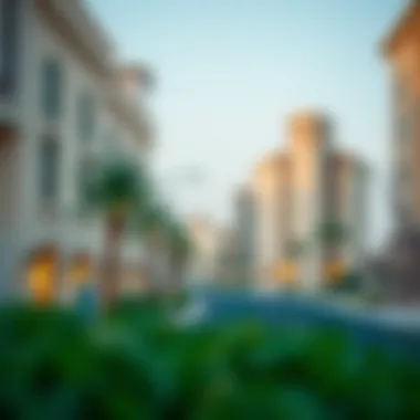 Navigating Gated Communities in Dubai: An In-Depth Analysis Summary Navigating Gated Communities in Dubai: An In-Depth Analysis Summary