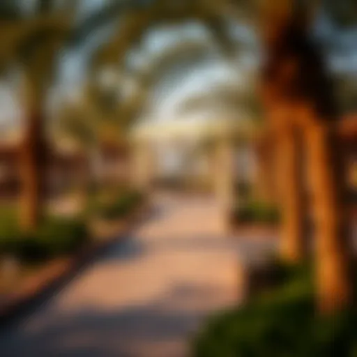 Recreational Areas in Dubai: An In-Depth Exploration Introduction