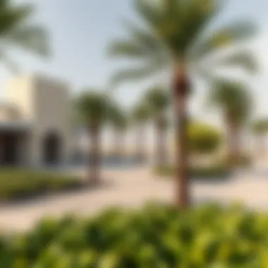 Community spaces and recreational areas in Shams Sharjah