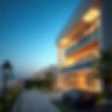 The Dynamics of Open Houses in Dubai's Real Estate Market Summary