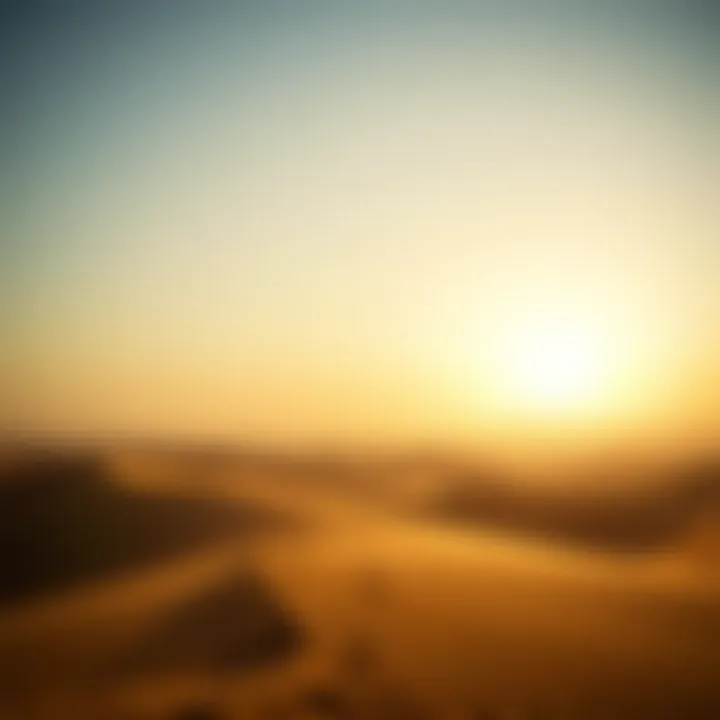 Desert landscape illuminated by the soft morning light