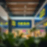The Role of IKEA in Enhancing the Festival City Mall Experience Introduction