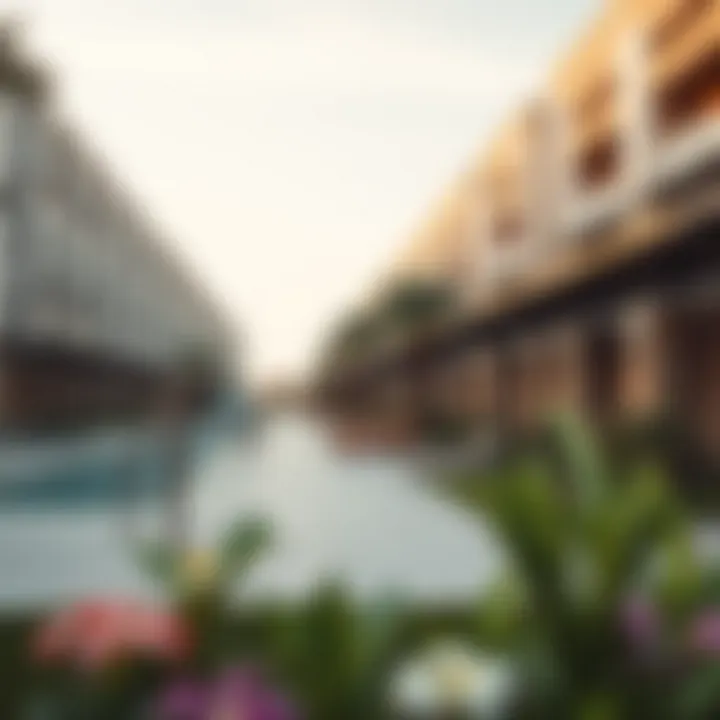 Community features of Zayed Housing Project